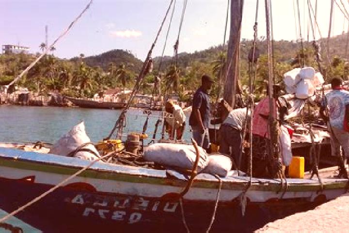 Sophia, 31 — Escort in Roche-a-Bateau, Haiti
