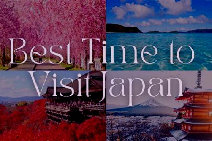 Sophia, 31 — Escort in Tako, Japan