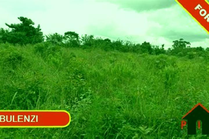 Sophia, 31 — Escort in Wobulenzi, Uganda