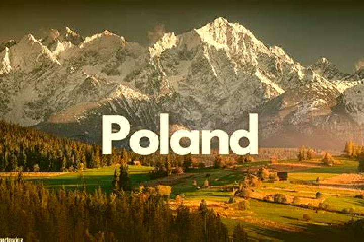 Sophia, 31 — Escort in Zolynia, Poland