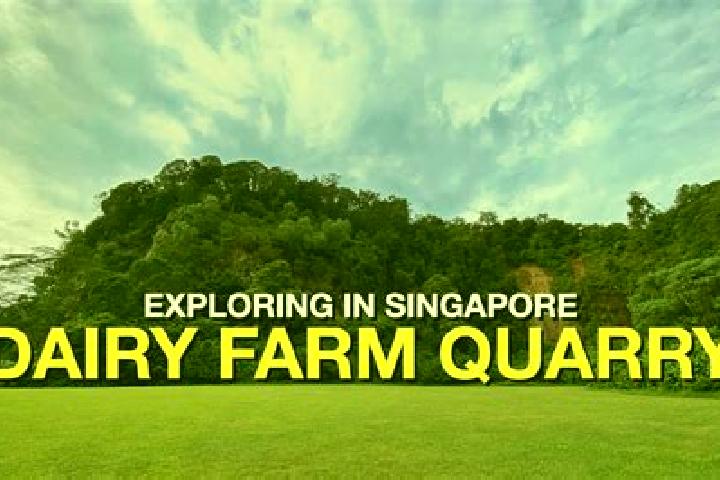 Sophia, 32 — Escort in Dairy Farm, Singapore