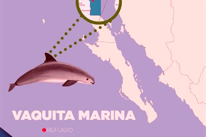 Sophia, 32 — Escort in Dieciocho de Julio, Uruguay