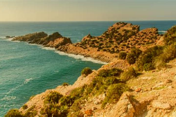 Sophia, 32 — Escort in El Haouaria, Tunisia