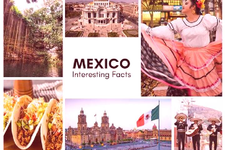 Sophia, 32 — Escort in Maitinez, Mexico