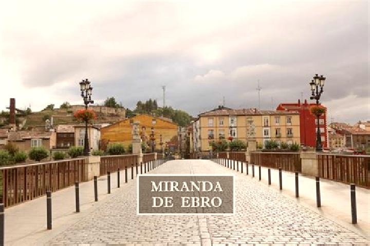 Sophia, 32 — Escort in Miranda de Ebro, Spain