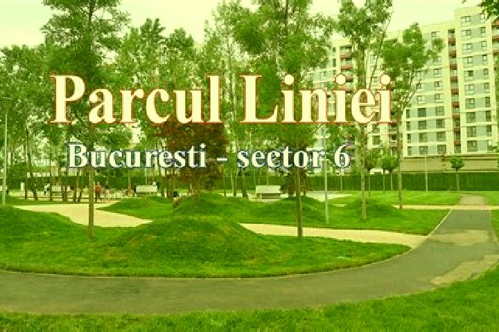 Sophia, 32 — Escort in Plaiu Nucului, Romania