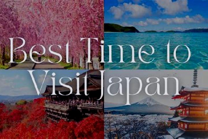 Sophia, 32 — Escort in Sashiki, Japan