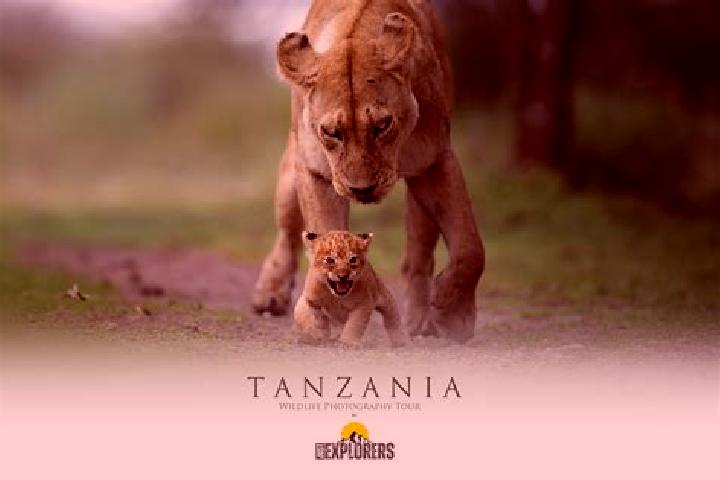 Sophia, 33 — Escort in Kihurio, Tanzania