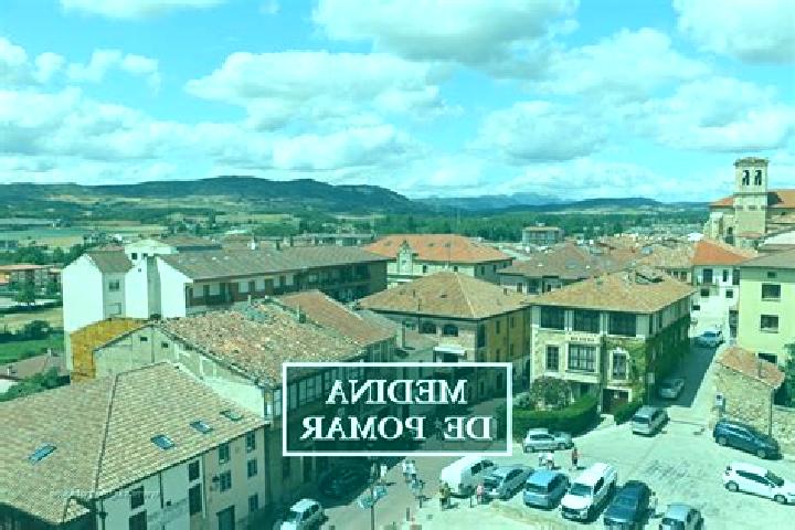 Sophia, 33 — Escort in Medina de Pomar, Spain