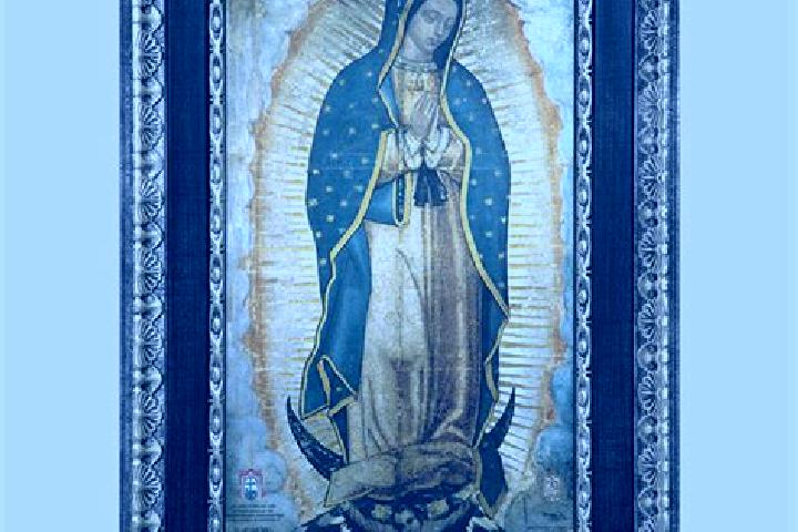 Sophia, 33 — Escort in Piedra Virgen, Mexico
