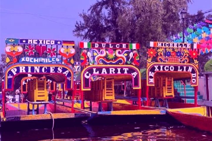 Sophia, 33 — Escort in Santiago Xochimilco, Mexico