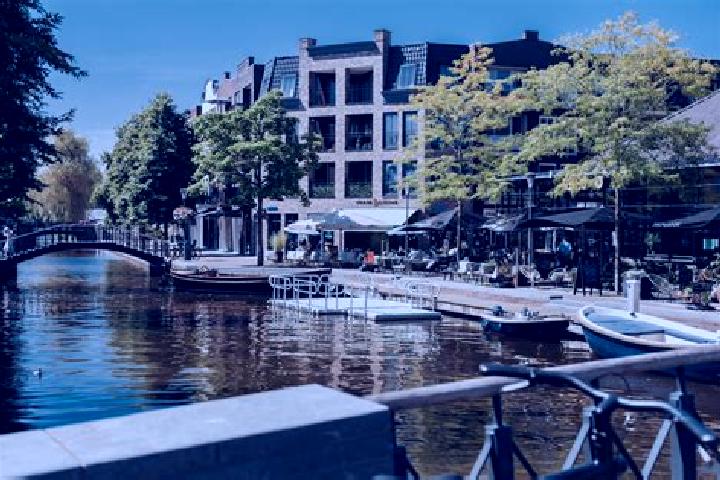 Sophia, 34 — Escort in Gouwsluis, Netherlands