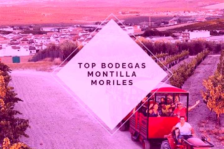 Sophia, 34 — Escort in Moriles, Spain