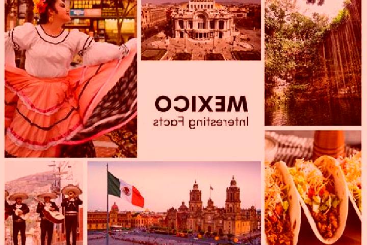 Sophia, 34 — Escort in Pezmatlan, Mexico