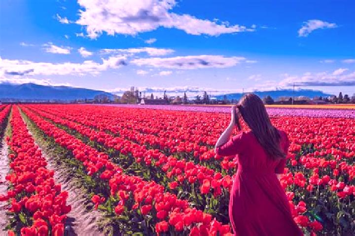 Sophia, 34 — Escort in Washington, United Kingdom