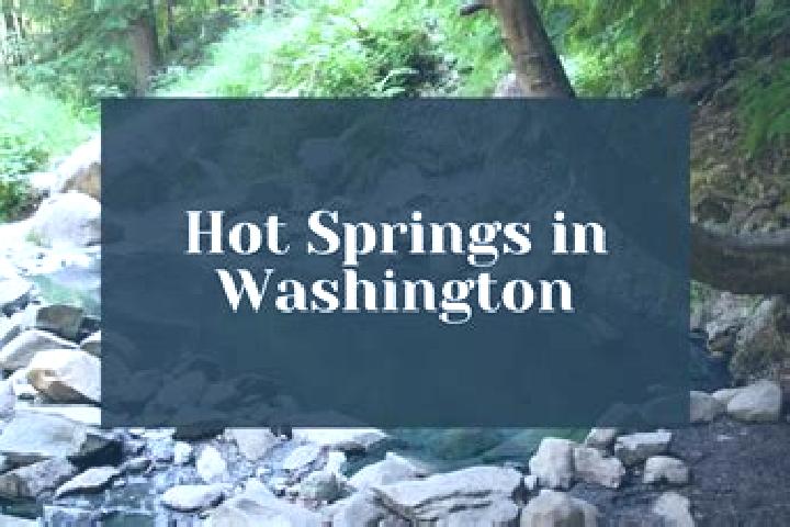 Sophia, 34 — Escort in Western Springs, United States