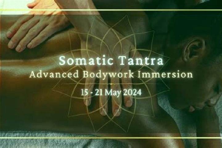 Sophia, 35, a auburn amber-eyed middle eastern companion based in Mukhayla. Offering Tantra, Prostate Massage, Party Girl, GFE. Available for incall and outc...