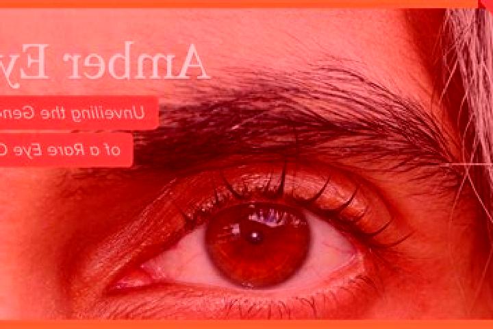 Sophia, 35, a black amber-eyed slavic companion based in Gundremmingen. Offering Erotic Massage, Tantra, Girlfriend Experience, 69. Available for incall and ...