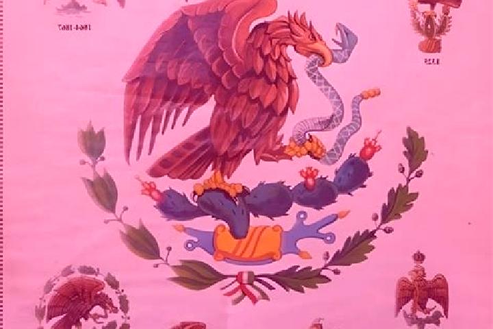 Sophia, 35 — Escort in Batalla Nacional, Mexico