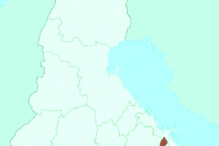 Sophia, 35 — Escort in Laihia, Finland