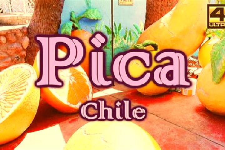 Sophia, 35 — Escort in Matilla, Chile