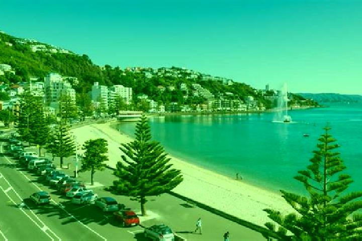 Sophia, 35 — Escort in Oriental Bay, New Zealand