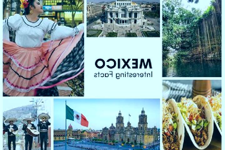 Sophia, 35 — Escort in Pucnachen, Mexico