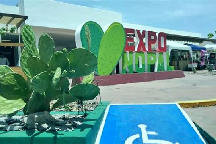Sophia, 35 — Escort in Valtierrilla, Mexico