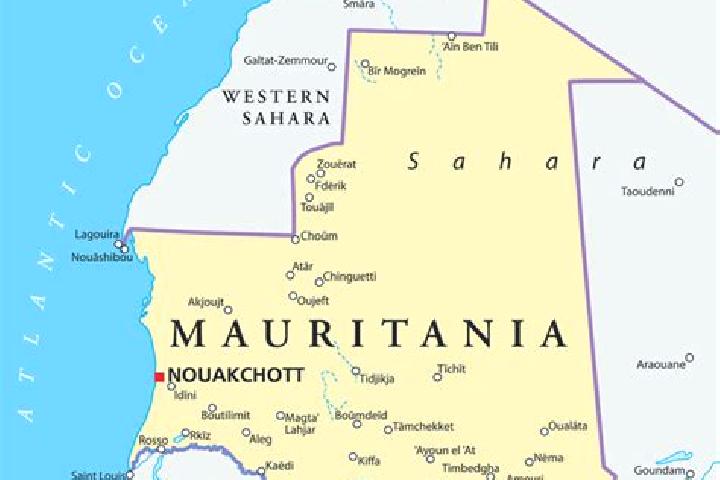 Sophia, 36 — Escort in Amourj, Mauritania