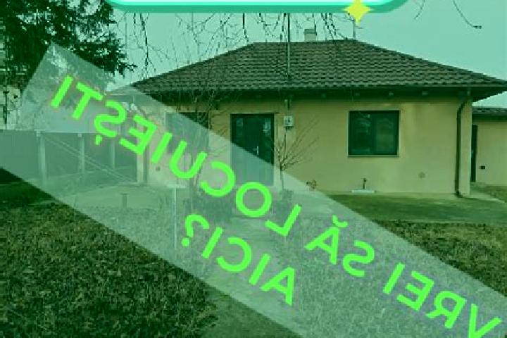 Sophia, 36 — Escort in Cotu Miculinti, Romania