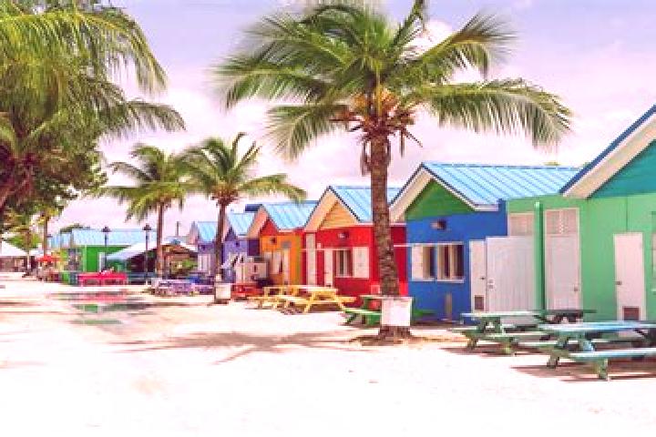 Sophia, 36 — Escort in Crab Hill, Barbados