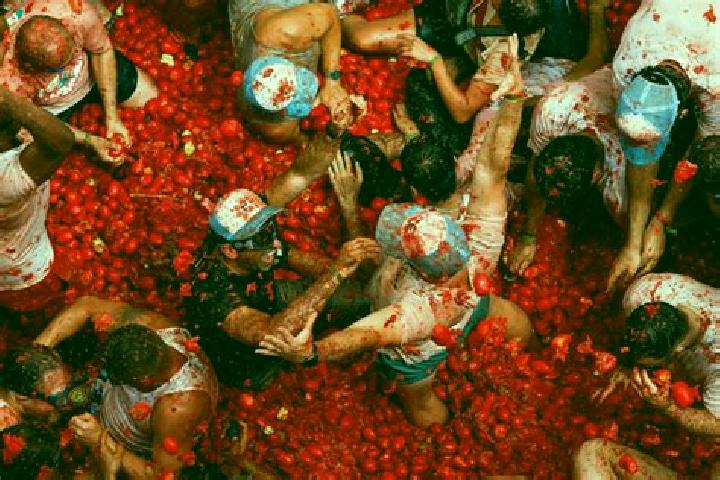 Sophia, 36 — Escort in La Tomatina, Mexico