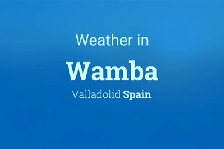 Sophia, 36 — Escort in Wamba, Spain