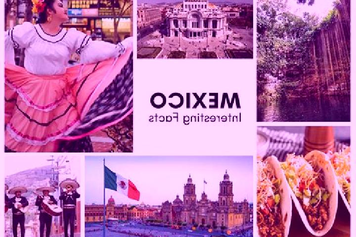 Sophia, 36 — Escort in Xhitey, Mexico