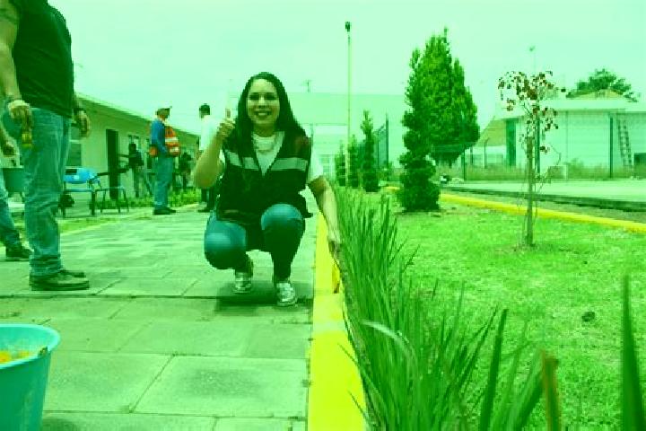 Sophia, 36 — Escort in Zacapechpan, Mexico