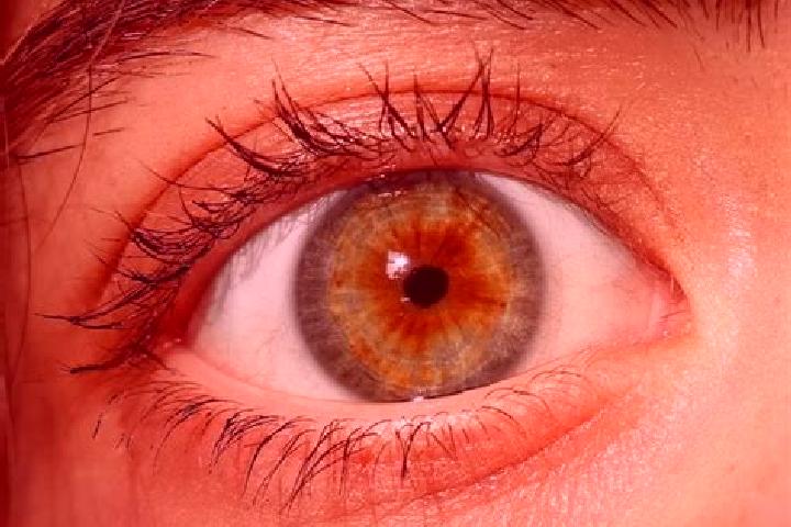 Sophia, 37, a red hazel-eyed indian companion based in Bobolice. Offering Overnight, Roleplay, Duos. Available for incall and outcall, overnight bookings ava...