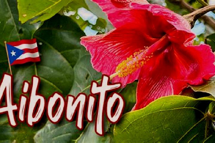 Sophia, 37 — Escort in Aibonito, Puerto Rico