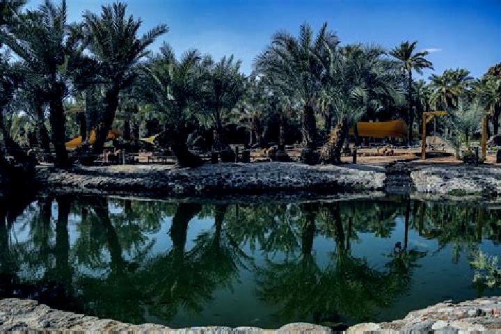 Sophia, 37 — Escort in Al Qatif, Saudi Arabia