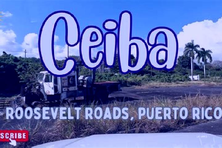 Sophia, 37 — Escort in Ceiba, Puerto Rico