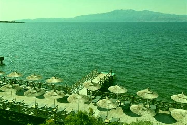Sophia, 37 — Escort in Dionysos, Greece
