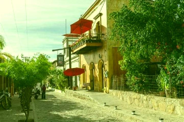 Sophia, 37 — Escort in El Triunfo, Mexico