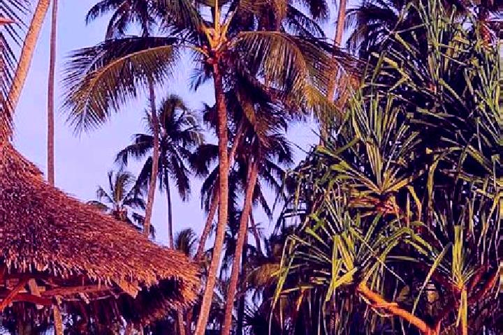 Sophia, 37 — Escort in Katerero, Tanzania