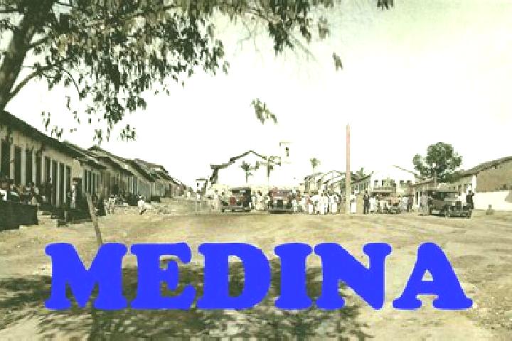 Sophia, 37 — Escort in Labor de Medina, Mexico