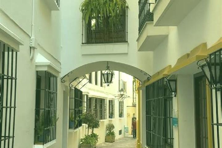 Sophia, 37 — Escort in Lumbrales, Spain