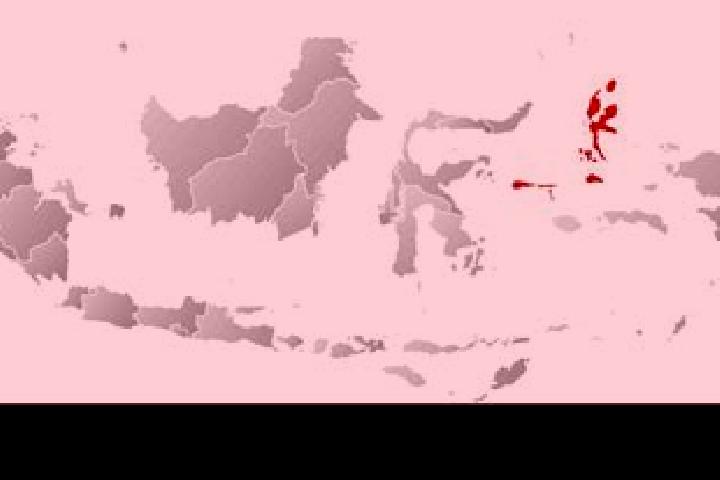 Sophia, 37 — Escort in Parakan, Indonesia