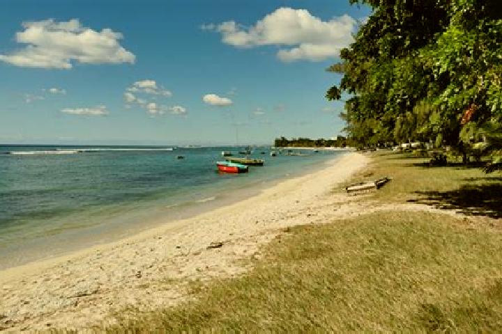 Sophia, 37 — Escort in Pointe aux Piments, Mauritius
