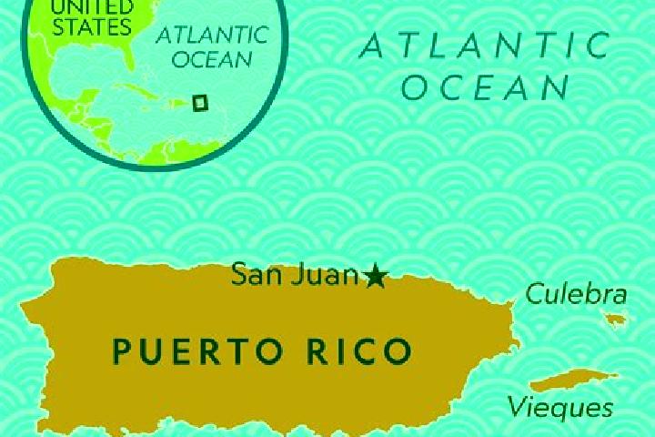 Sophia, 37 — Escort in Puerto Rico, Colombia