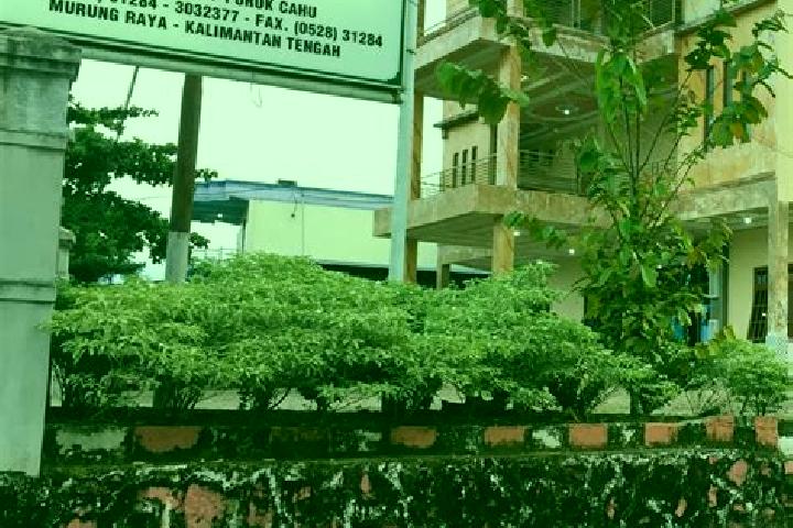 Sophia, 37 — Escort in Puruk Cahu, Indonesia