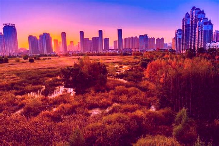 Sophia, 37 — Escort in Qunli, China