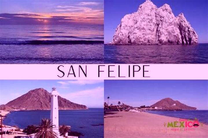 Sophia, 37 — Escort in San Felipe Pueblo, United States